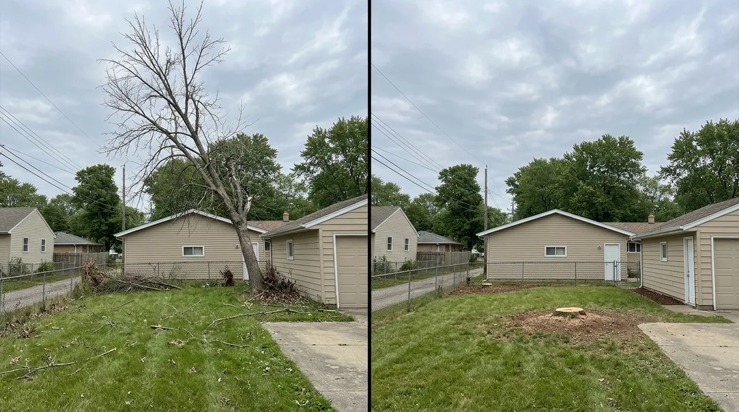 How Much Does Tree Removal Cost in Fort Wayne? 2026 Price Guide